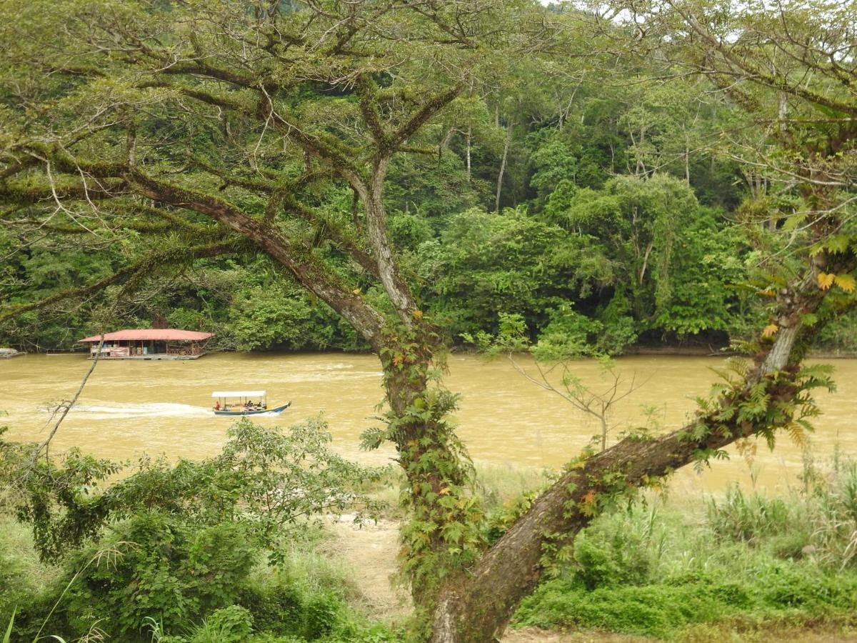 Tebing Guest House Taman Negara Malaysia كُوالا تاهان المظهر الخارجي الصورة